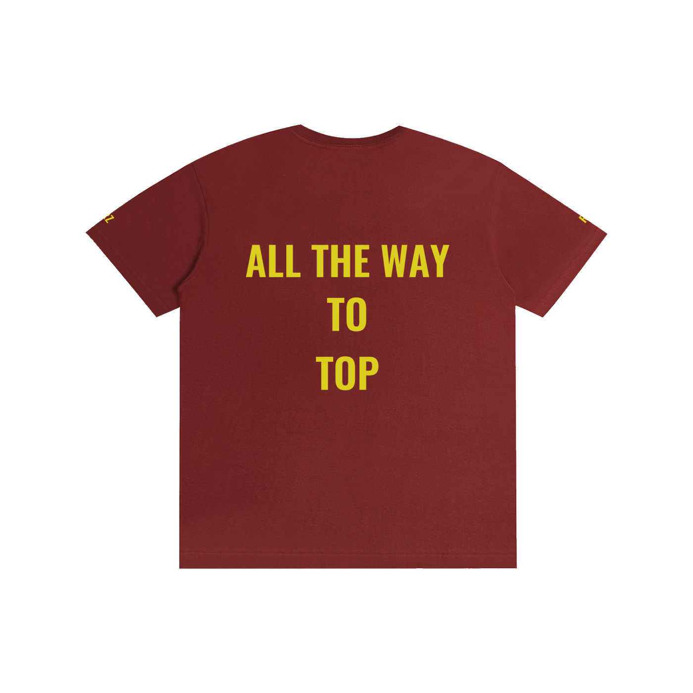 The way to the top Unisex T-Shirt