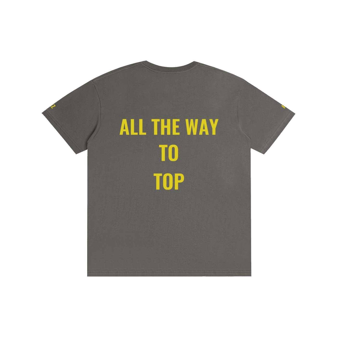 The way to the top Unisex T-Shirt