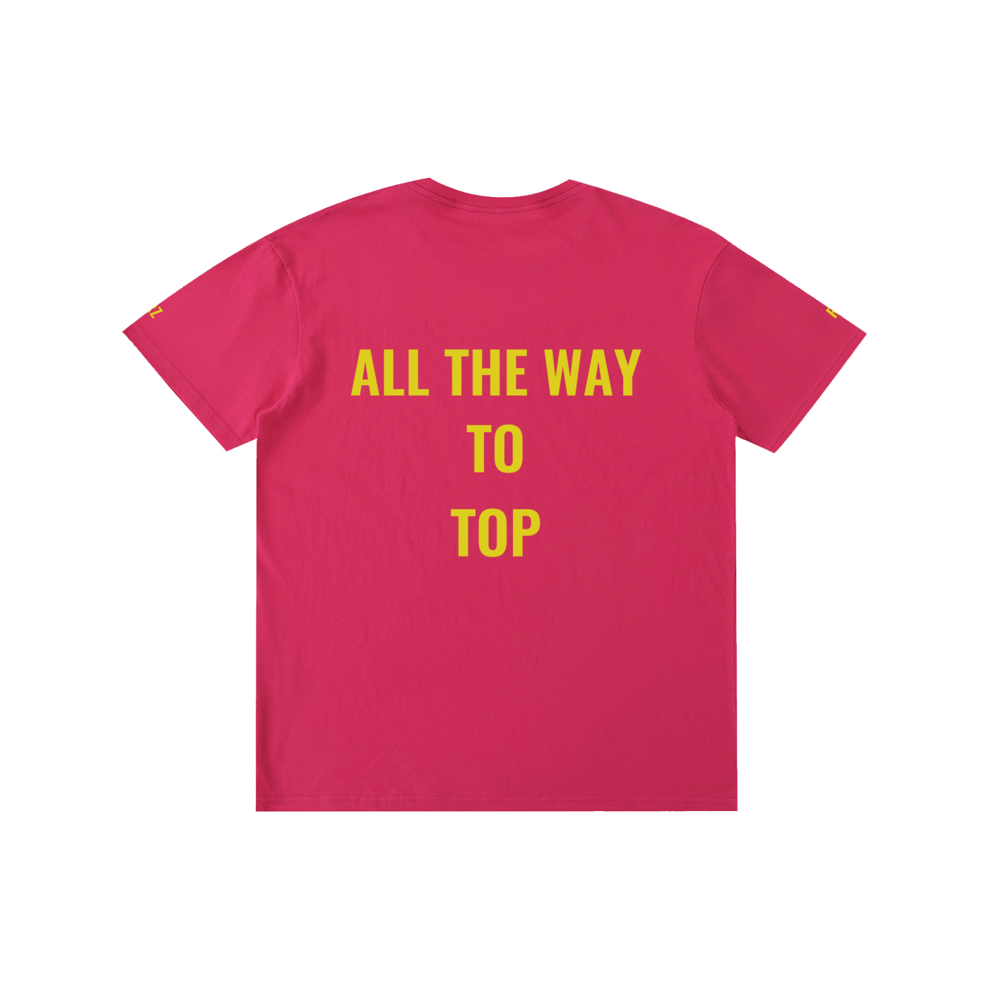 The way to the top Unisex T-Shirt